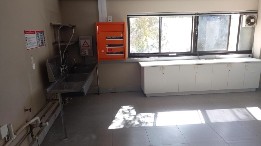 To Let commercial Property for Rent in Pinelands Western Cape